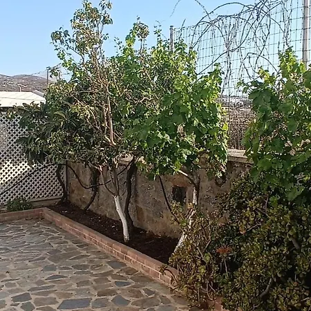 Vasilenia 别墅 Naxos City